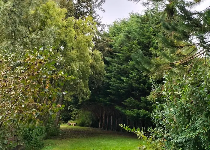 Couette-café La Mouillère Verton