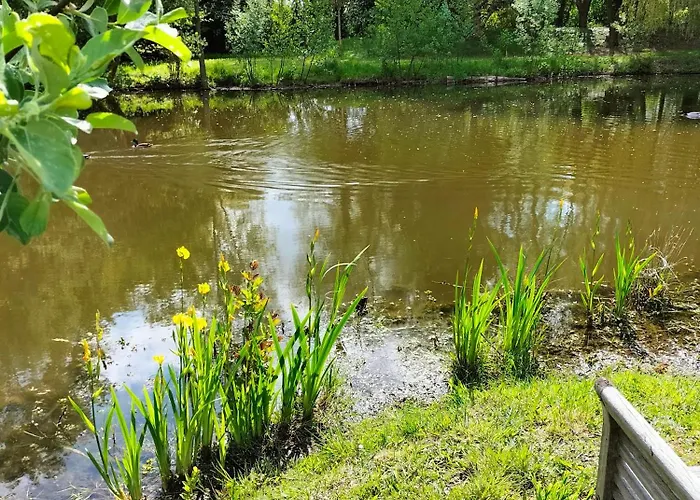 Couette-café La Mouillère